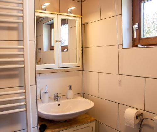 a bathroom with a sink and a mirror at Apfelhaus in Wagna