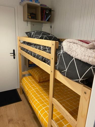 Litera en una habitación junto a una puerta en Location studio plein centre Les Carroz, en Les Carroz d'Araches