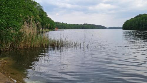 Gallery image of wilawianki - domki nad jeziorem Łubowo in Drezdenko