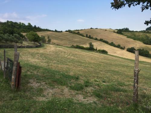 Ảnh trong thư viện ảnh của La Palazzina di Ciagnano ở Ozzano dell Emilia