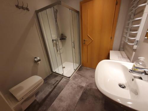 a bathroom with a shower and a toilet and a sink at Glemmy Appartements inkl Sommercard in Viehhofen