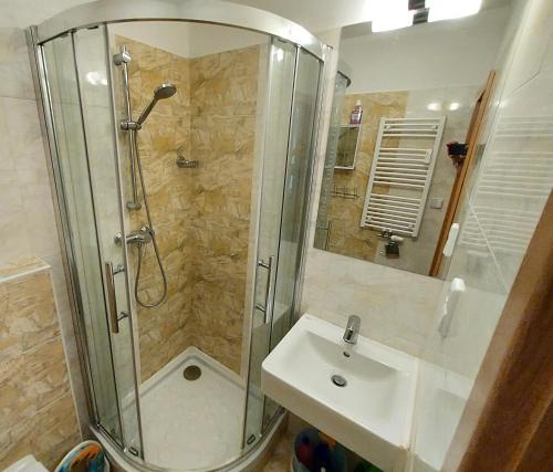 a bathroom with a shower and a sink at Apartmán Všemina in Všemina