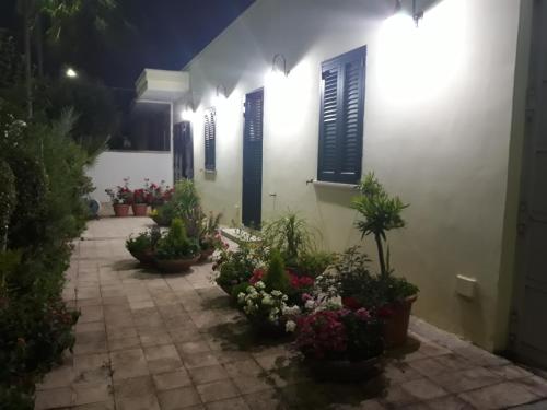 una casa con flores en un patio por la noche en Appartamento da Anna, en Porto Cesareo