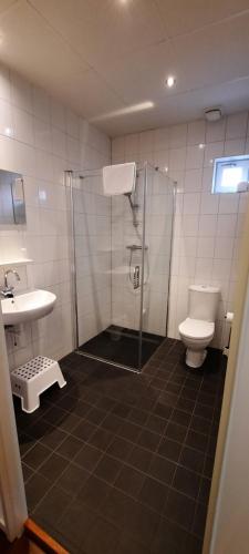 a bathroom with a shower and a toilet and a sink at Herberg Boswijck, B&B in Wijckel