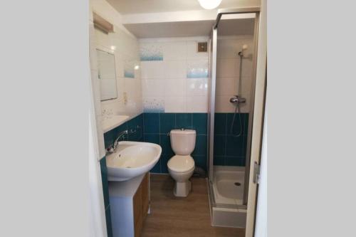 La salle de bains est pourvue de toilettes, d'un lavabo et d'une douche. dans l'établissement studio avec jardin à Rodez, à Rodez