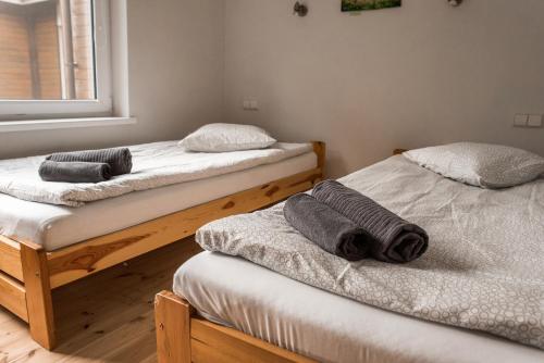two twin beds in a room with a window at Camping & Camper place Pasvalys in Pasvalys