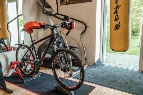 Camping & Camper place Pasvalysの敷地内または近くで楽しめるサイクリング