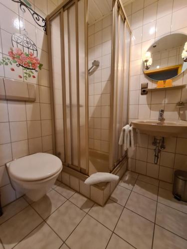 La salle de bains est pourvue de toilettes, d'une douche et d'un lavabo. dans l'établissement Appertment Bärenstein 2, à Gößweinstein