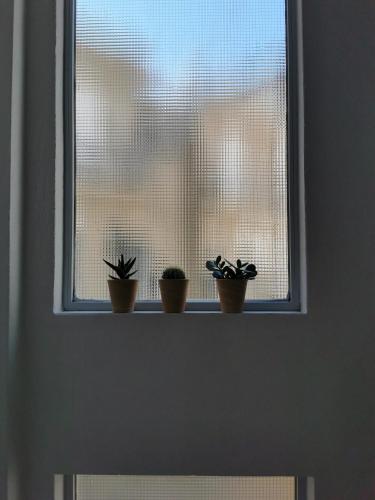 three potted plants sitting on a window sill at Hotel Rania in Loutra Edipsou