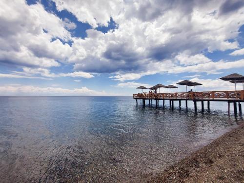 Gambar di galeri bagi Assos Barbarossa Special Class Hotel di Behramkale