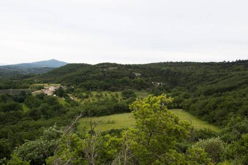 une vue d'un champ vert avec des arbres et des montagnes dans l'établissement Mas provençal isolé en pleine nature, à Montjoyer