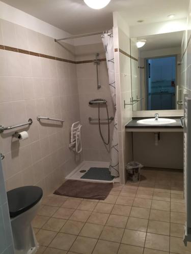 une salle de bain avec un lavabo, une douche et des toilettes dans l'établissement Charmant appartement de 41m2 avec linges de maison et ménage compris, 2 pièces à Lamalou-les-Bains pour 2 personnes, à Lamalou-les-Bains