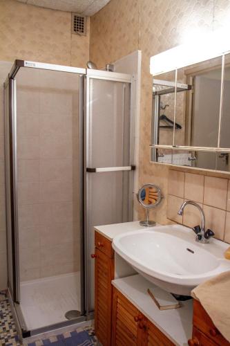 une salle de bain avec douche et lavabo dans l'établissement Le loup qui dort, à Longwy-sur-le-Doubs