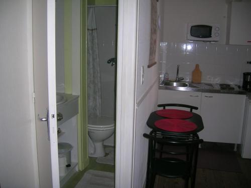 バニョール・ドゥ・ロルヌにあるStudette Villa Odetteの小さなバスルーム(洗面台、トイレ付)