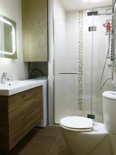 une salle de bain avec une douche, des toilettes et un lavabo dans l'établissement FEEL HOME - FRANCE 15, à Nice