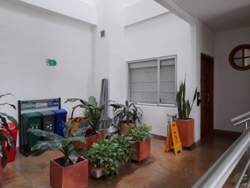 a room with potted plants on the floor and a window at HOTEL OSCAR Tradición in Apartadó