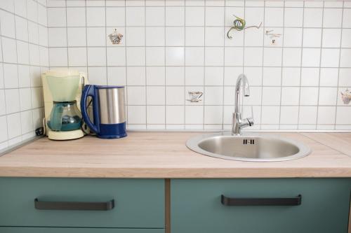 eine Küchentheke mit einer Spüle und einem Mixer in der Unterkunft Apartment Dalmatien in Raslina