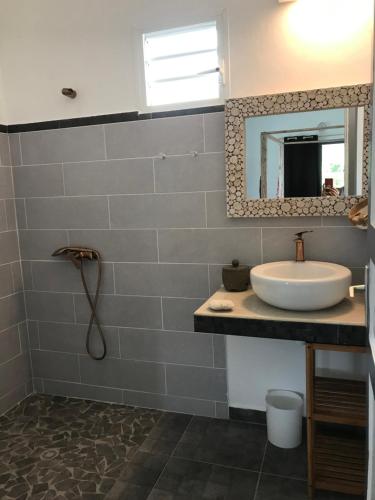a bathroom with a sink and a mirror at LES ALOÈS By CREYOL ANIMAL in Grand-Bourg