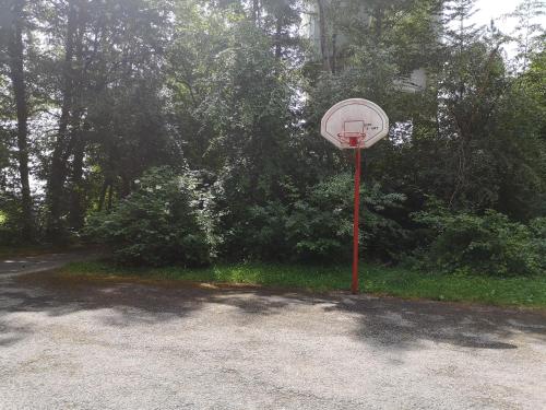 a basketball hoop on a red pole in a parking lot at Nurdachhaus Marie im Nordschwarzwald in Neuhausen