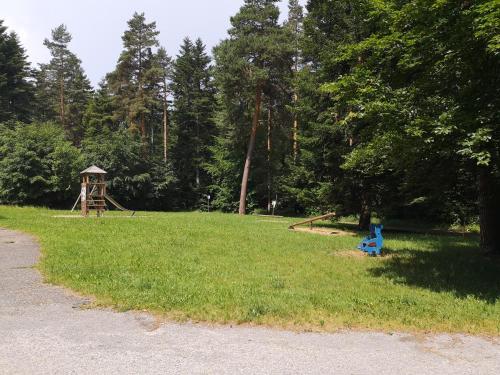 a park with a playground in the grass at Nurdachhaus Marie im Nordschwarzwald in Neuhausen