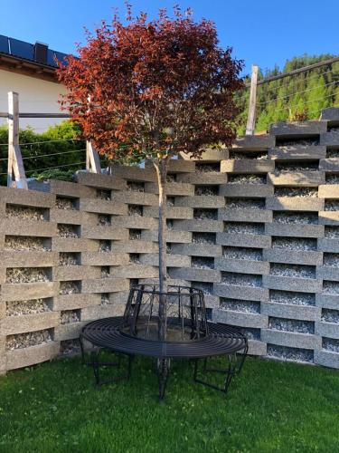 a tree sitting on a table in front of a concrete wall at Ferienwohnung Gritsch Sommercard inclusive in Jerzens