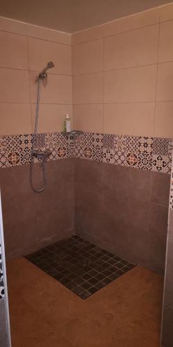 a shower with a shower head in a bathroom at Perle Orientale Saidia Appart Rénové vue sur jardin et sur mer in Saidia 