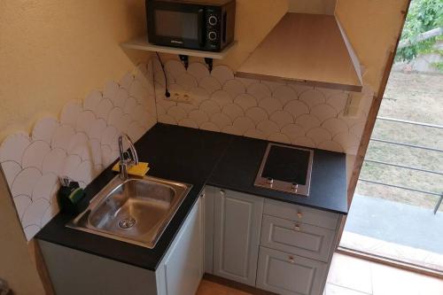 una piccola cucina con lavandino e forno a microonde di Cal Niu a Castillo de Aro