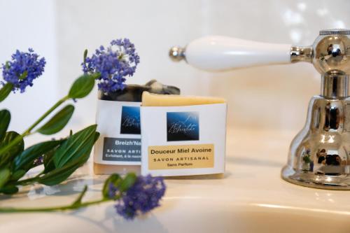 a bathroom sink with a bottle of soap and flowers at Résidence L'Aristide Appartement Louison in Auray