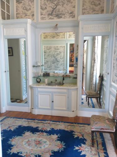 a bathroom with a sink and a mirror at Chateau du Guérinet D'Orchaise in Orchaise
