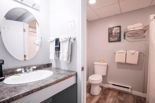 a bathroom with a sink and a toilet and a mirror at Scenic Inn in Conway