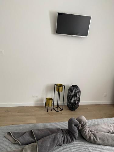 Cette chambre dispose d'une couverture au sol et d'une télévision. dans l'établissement Appartement calme avec terrasse proche du centre ville et de la mer, parking, internet, à Bastia