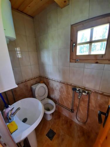 a bathroom with a toilet and a sink and a window at Holiday Home Jabucilo in Žabljak