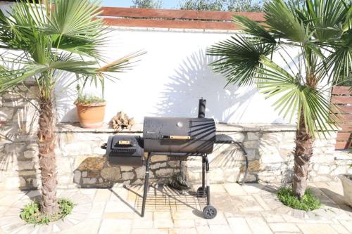 a bbq and a grill in a courtyard with palm trees at Vila Palma in Berat