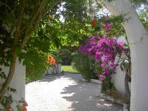 an archway with purple flowers hanging from a wall at Hotel Rural A Coutada - Peniche in Atouguia da Baleia