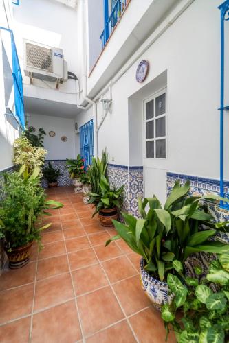 Taman di luar Hostal San Ramón