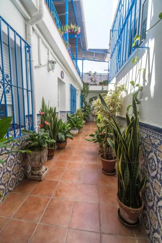 Gambar di galeri bagi Hostal San Ramón di Marbella