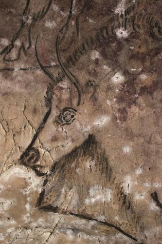 a painting of a horse on the floor at Hôtel Terranostra in Tarascon-sur-Ariège