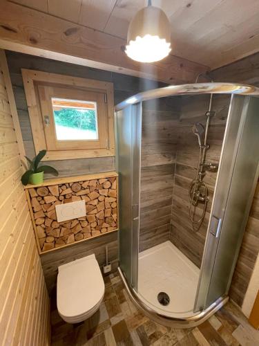 a bathroom with a shower and a toilet at Miha`s cottage in Bohinj