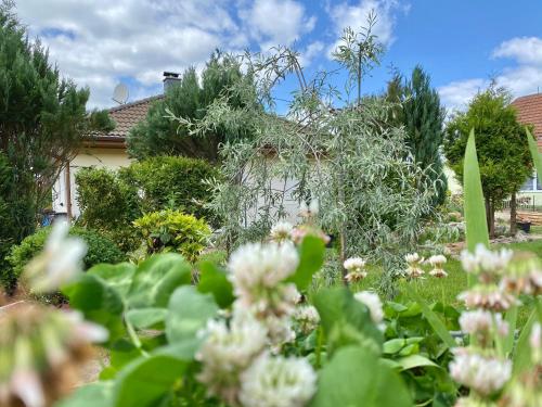 a garden with white flowers in front of a house at Apartmenthaus Lütt Meer in Ludorf