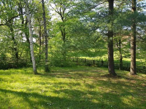 a fence in a field with trees and grass at Takovo - odmor u selu in Gornji Milanovac