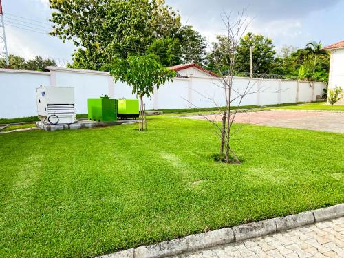 a green yard with a tree in the middle at 2 Bedroom Bungalow in Alalubosa GRA in Ibadan