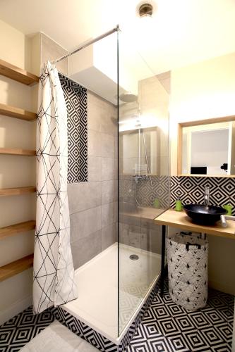 une salle de bain avec douche et lavabo dans l'établissement Mon Appart A VILLON-MONPLAISIR, à Lyon