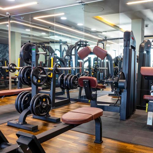 a gym with a lot of weight machines at Horizon Hotel in Al Başrah