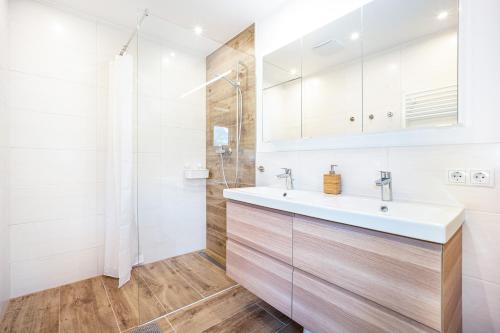 La salle de bains est pourvue d'un lavabo et d'une douche. dans l'établissement Appartement Sonnenheim, à Ramsau am Dachstein