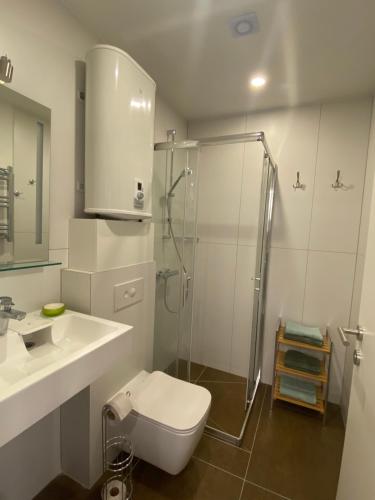 a bathroom with a shower and a toilet and a sink at Apartamentai '55' in Juodkrantė