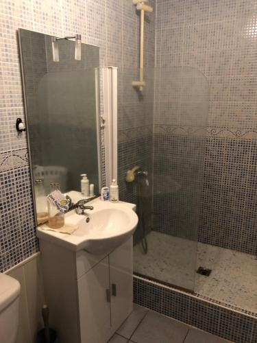 La salle de bains est pourvue d'un lavabo et d'une douche. dans l'établissement MAISON MEDOC, à Gaillan-en-Médoc