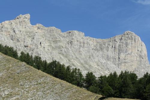 a large mountain with trees in front of it at Au pied des pistes Appart 4 ou 5 pers SUPERDEVOLUY in Superdevoluy