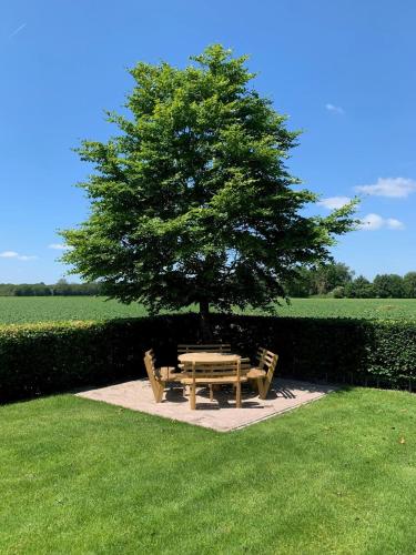 a picnic table and a tree in a field at Karibu de Stallen (met Sauna en Stoom douche) in Daarle