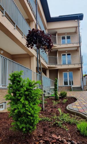 Gallery image of Family Hotel in Gribovka
