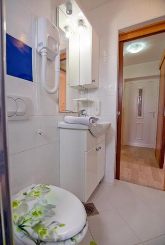 a bathroom with a toilet and a sink and a mirror at Apartmani Baja in Lopar